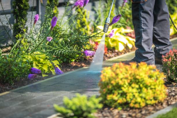 Reliable Solvay, NY Pressure Washing Services Solutions