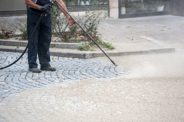 Best Dumpster Area Cleaning  in Solvay, NY